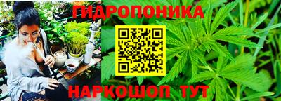 тгк Тара