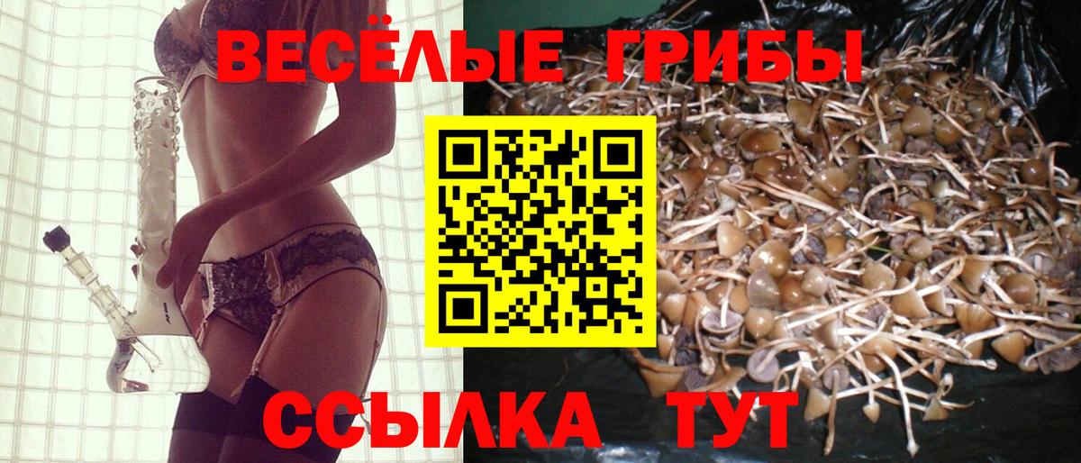 Галлюциногенные грибы GOLDEN TEACHER  Вход с VPN  Вышний Волочёк 