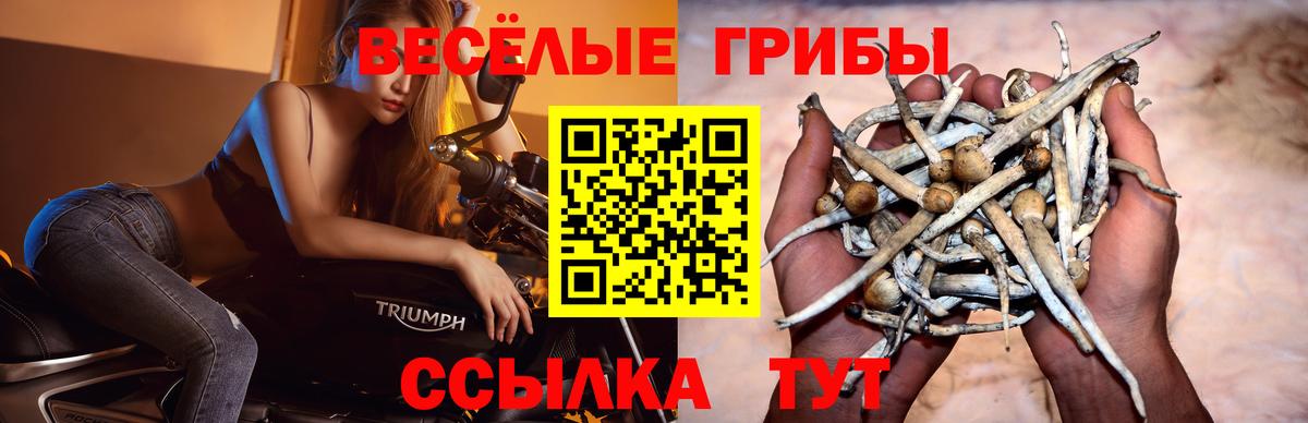 Галлюциногенные грибы ЛСД Вышний Волочёк